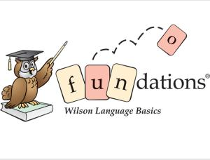 Picture of Wilson Fundations logo