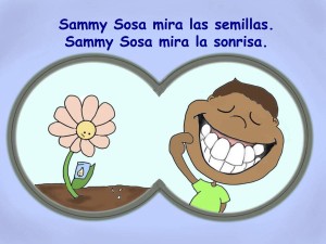 Picture of Sammy Sosa Book