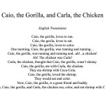 Caio e Carla Translation Page