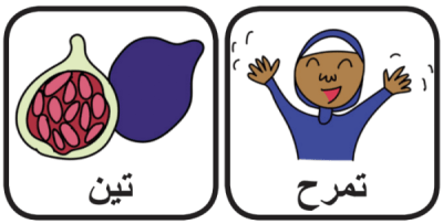 (Arabic) Cleft Palate Therapy Word Game for T